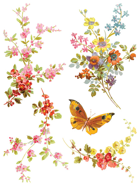 Iron Orchid Design | Transfer | Saint Germain
