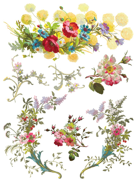 Iron Orchid Design | Transfer | Saint Germain