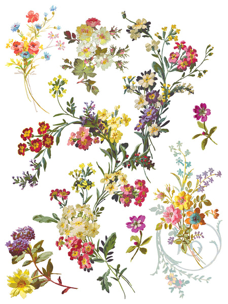 Iron Orchid Design | Transfer | Saint Germain