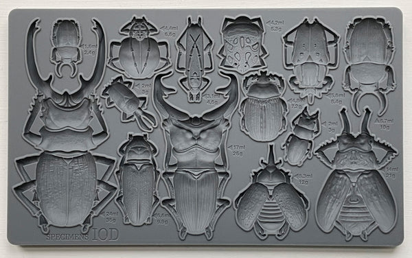Iron Orchid Design | Mould | Specimens