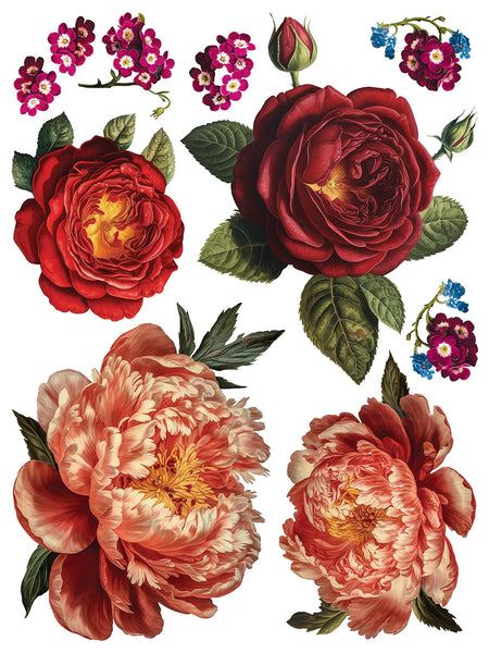 Iron Orchid Design | Transfer | Collage de Fleurs