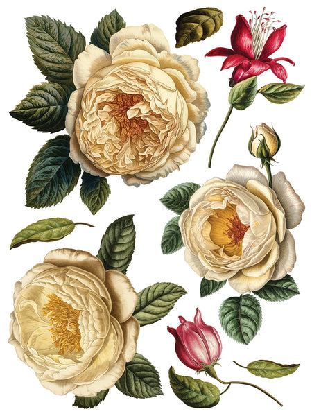 Iron Orchid Design | Transfer | Collage de Fleurs