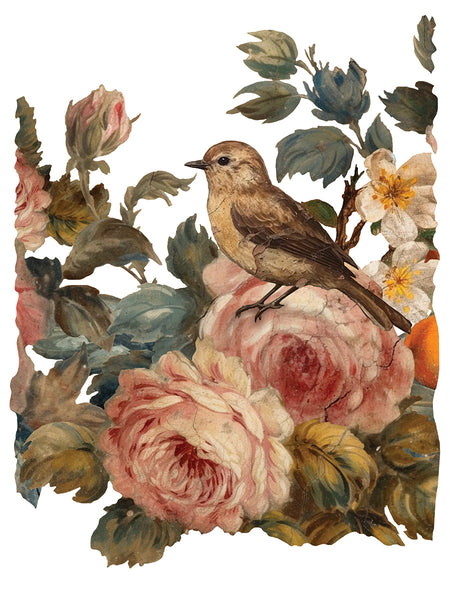 Iron Orchid Design | Transfer | Joie de Roses