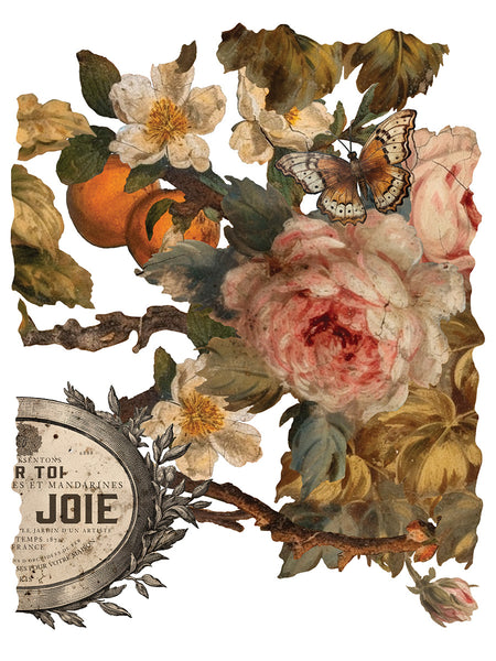 Iron Orchid Design | Transfer | Joie de Roses