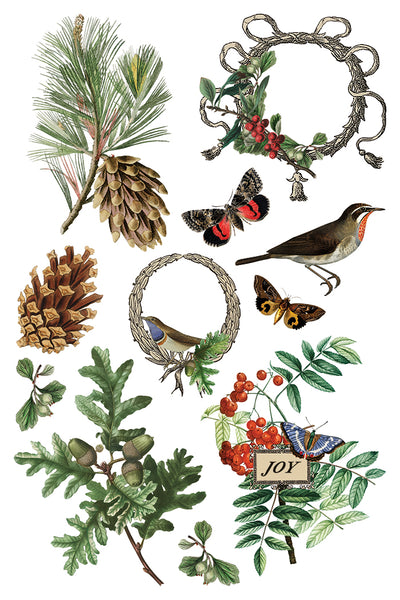Iron Orchid Design | Transfer | Winter Botanist