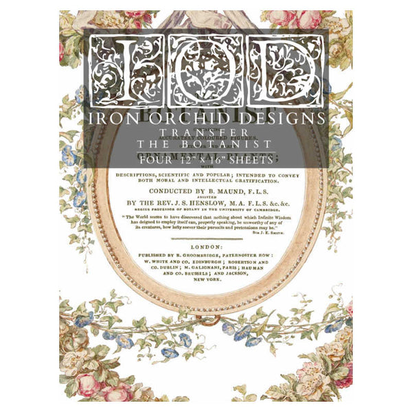 Iron Orchid Design | Transfer | The Botanist