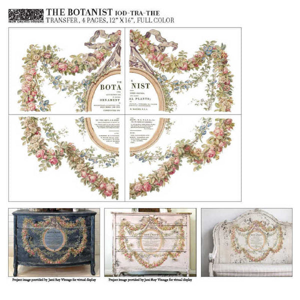Iron Orchid Design | Transfer | The Botanist