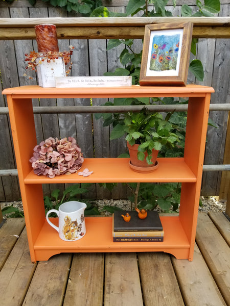Fusion Mineral Paint | Tuscan Orange (Limited Release)