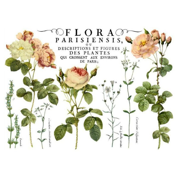 Iron Orchids Design | Flora Parisiensis transfer.