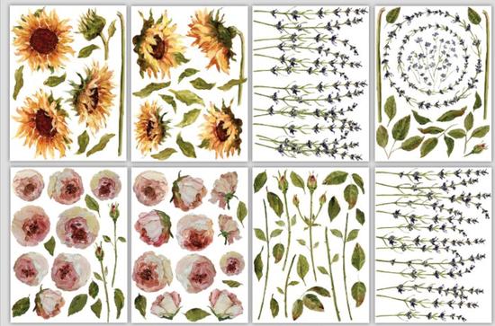 Iron Orchid Design | Transfer | Painterly Floral