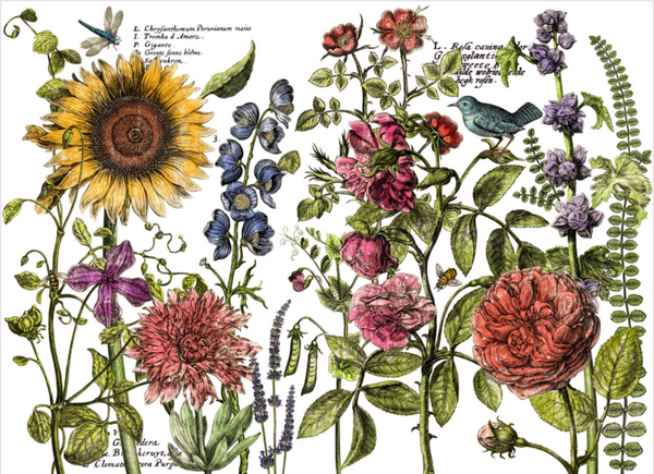 Iron Orchid Design | Transfer | Botanist's Journal