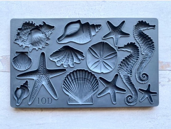 Iron Orchid Design | Mould | Sea Shells