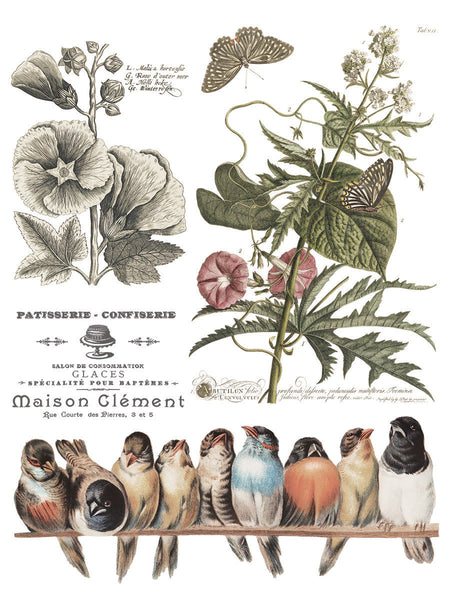 Iron Orchid Design | Transfer | Brocante