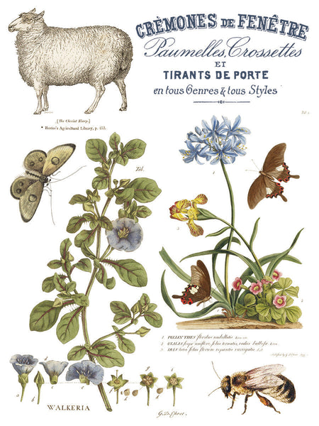 Iron Orchid Design | Transfer | Brocante