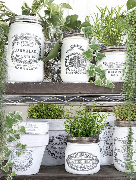 Iron Orchid Design | Stamp | Crockery