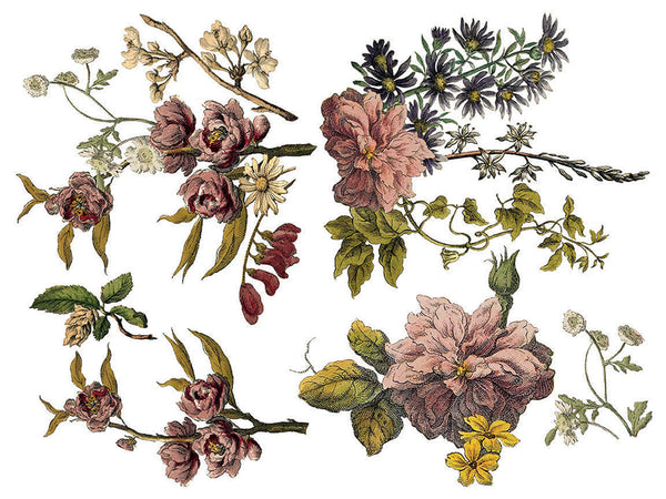 Iron Orchid Design | Transfer | Floral Anthology