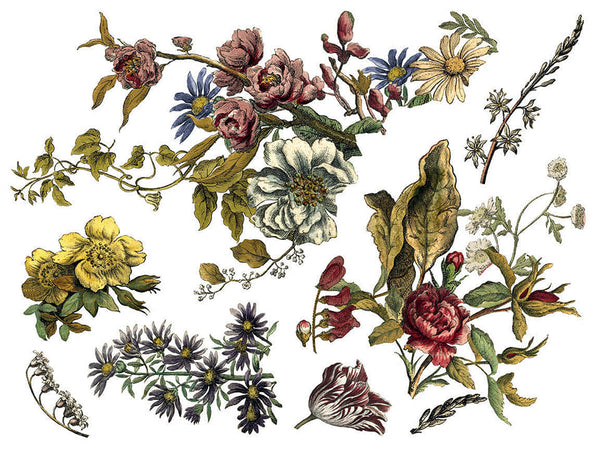 Iron Orchid Design | Transfer | Floral Anthology