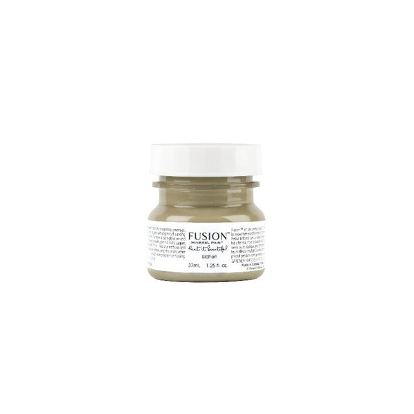 Fusion Mineral Paint | Lichen on white background.