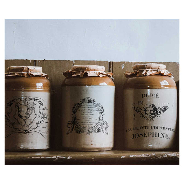 Iron Orchid Design | Transfer | Traditional Pots II