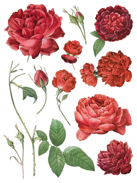 Iron Orchid Design | Transfer | Redoute II