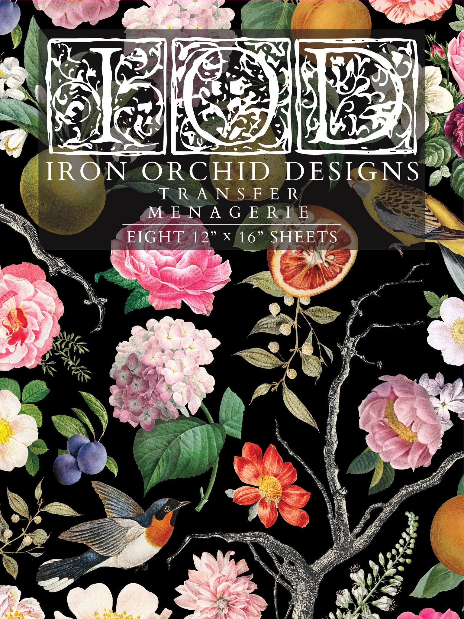 Iron Orchid Design | Transfer | Menagerie