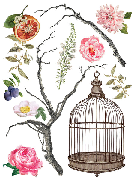Iron Orchid Design | Transfer | Menagerie