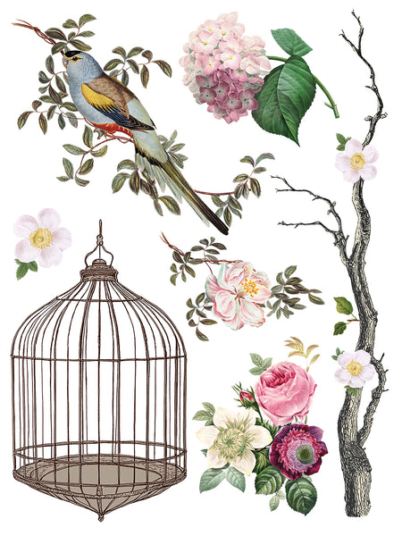Iron Orchid Design | Transfer | Menagerie