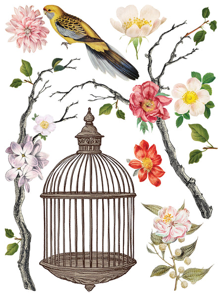 Iron Orchid Design | Transfer | Menagerie