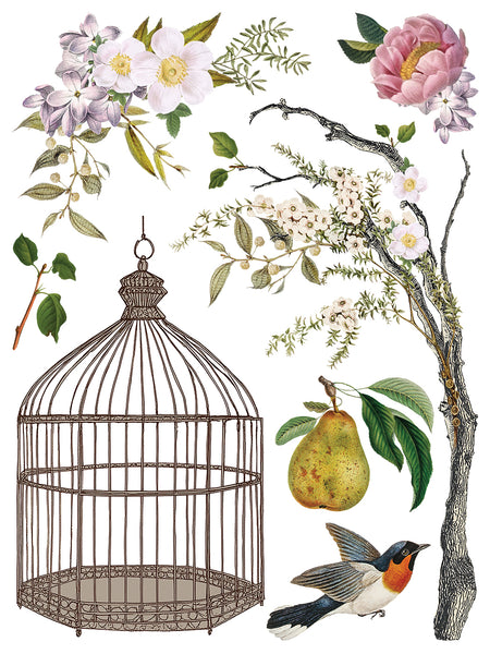Iron Orchid Design | Transfer | Menagerie
