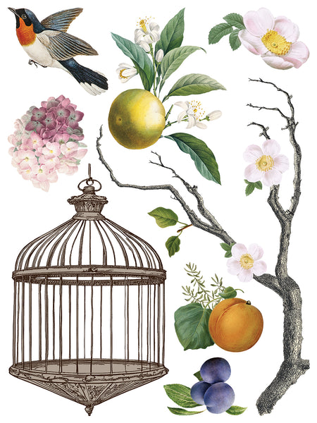 Iron Orchid Design | Transfer | Menagerie