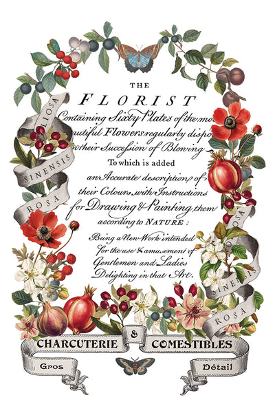 Iron Orchid Design | Transfer | Clementine