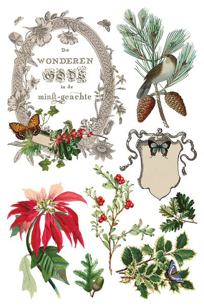 Iron Orchid Design | Transfer | Winter Botanist