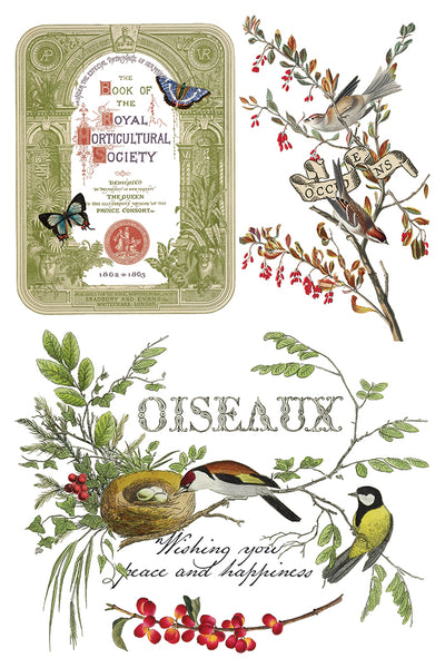 Iron Orchid Design | Transfer | Winter Botanist