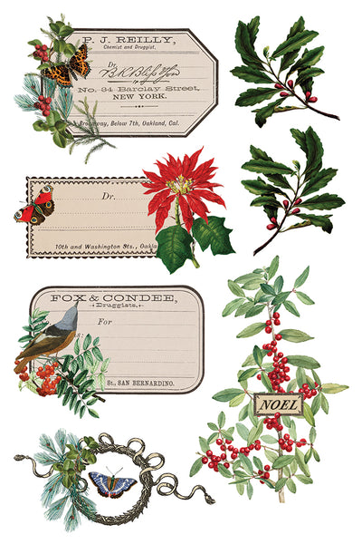Iron Orchid Design | Transfer | Winter Botanist