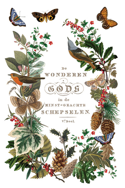 Iron Orchid Design | Transfer | Winter Botanist