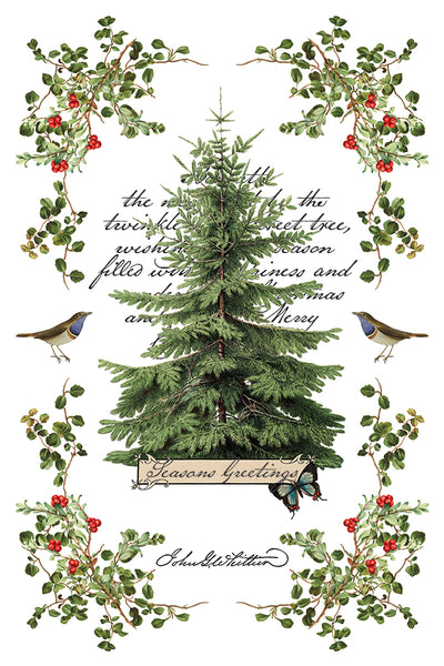Iron Orchid Design | Transfer | Winter Botanist