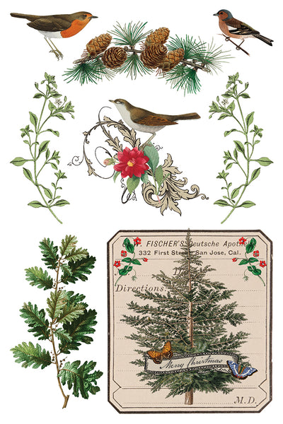 Iron Orchid Design | Transfer | Winter Botanist