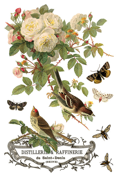 Iron Orchid Design | Transfer | By Any Other Name