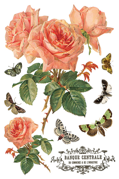 Iron Orchid Design | Transfer | By Any Other Name