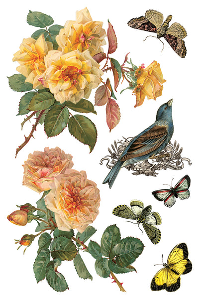 Iron Orchid Design | Transfer | By Any Other Name