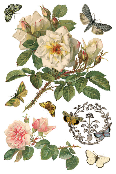 Iron Orchid Design | Transfer | By Any Other Name