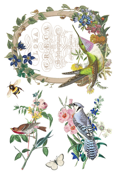 Iron Orchid Design | Transfer | Flora Greca