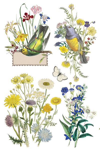 Iron Orchid Design | Transfer | Flora Greca