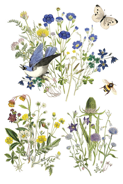 Iron Orchid Design | Transfer | Flora Greca