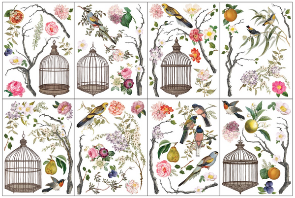 Iron Orchid Design | Transfer | Menagerie