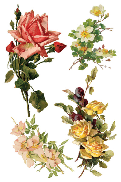Iron Orchid Design | Transfer | Catharina