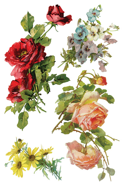 Iron Orchid Design | Transfer | Catharina
