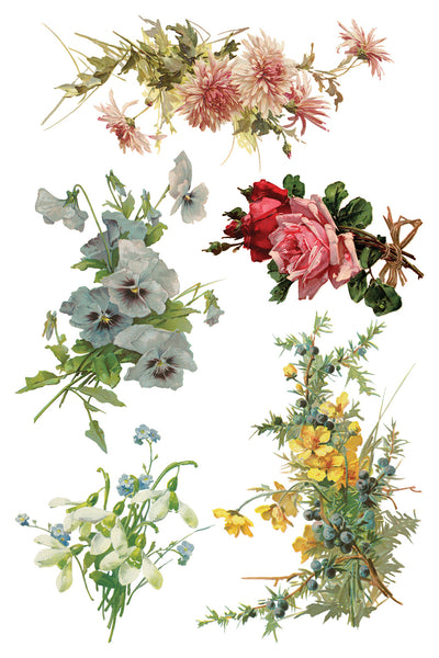 Iron Orchid Design | Transfer | Catharina