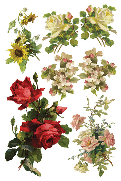 Iron Orchid Design | Transfer | Catharina