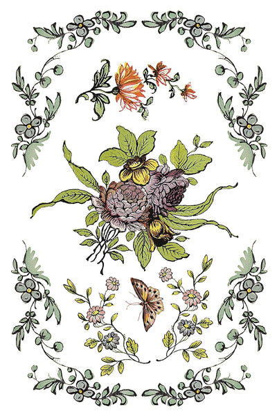 Iron Orchid Design | Transfer | Rose Botanical